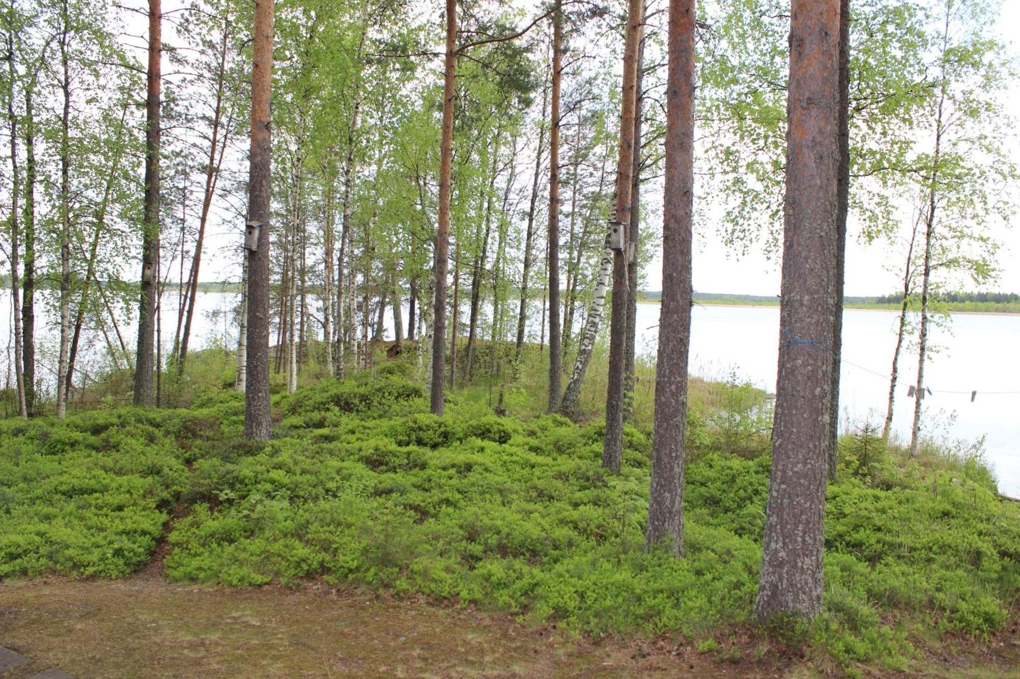 Lomamokkila Cottages Savonlinna Zimmer foto